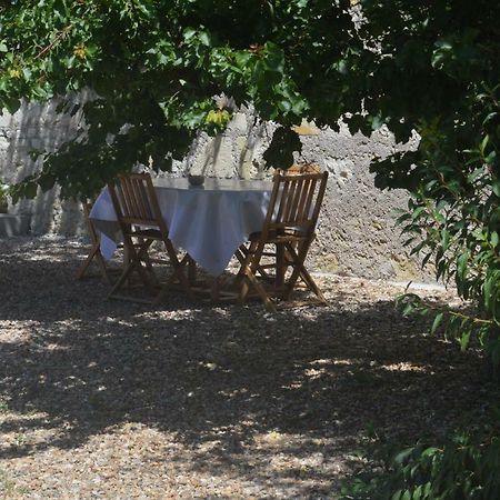 Gite Dans Le Vignoble De Bourgueil Le Port Boulet Exterior photo