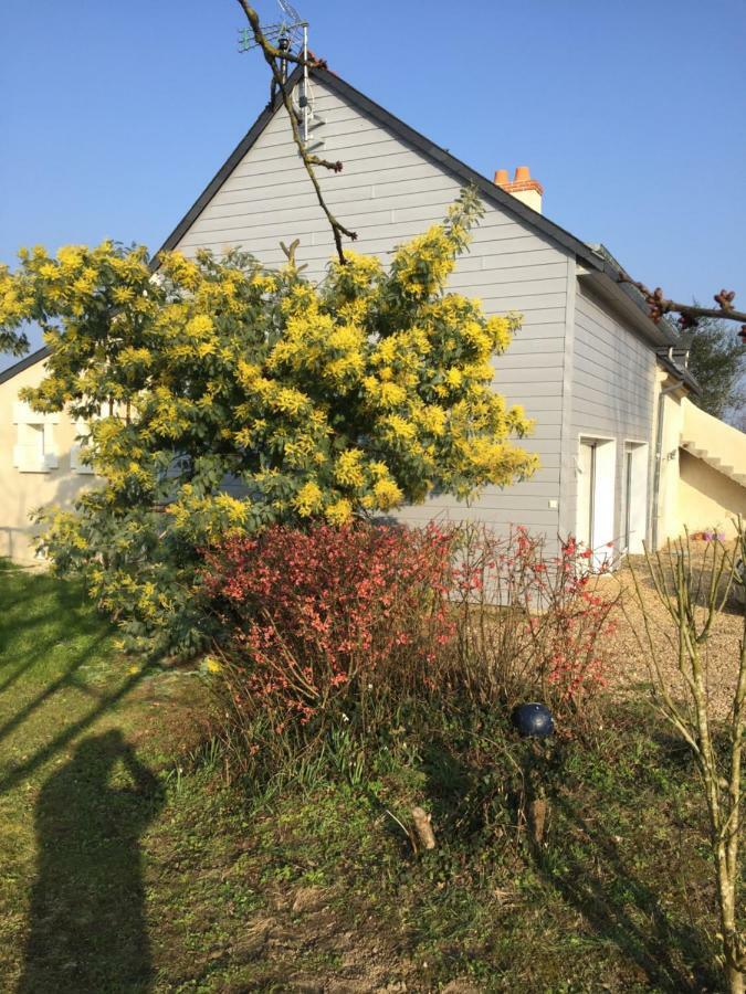 Gite Dans Le Vignoble De Bourgueil Le Port Boulet Exterior photo